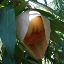 금화농장 이미지