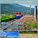 낭만클럽여행사