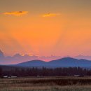 신사1-011 이미지