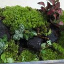 반곡지 농촌체험 휴양마을 이미지