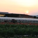 성이농장 이미지