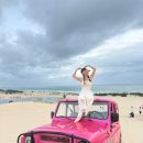 동머리농장 | 🇻🇳나트랑 판랑사막 일출투어 현지업체 '택시퐁' 내돈내산 추천 후기