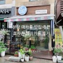 양영초등학교 | 분당 카네이션 마카롱 추천 효자촌 젬마카롱 후기