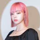 모즈토리전주 - 114203 | 모즈토리전주