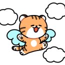 버블버블 이미지