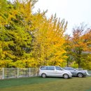 모꼬지관광펜션 이미지