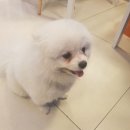 동편마을입구 이미지