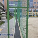 양지초등학교 이미지