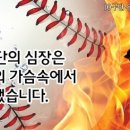 수원-0055 이미지