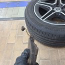 태평양카독크 이미지