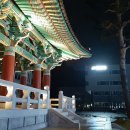 D15 이미지