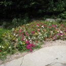 수덕사 진입로 이미지