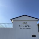 용목장 | [제주 동쪽 가볼만한곳] 목장카페 밭디 승마체험 후기 / 아이랑 제주여행