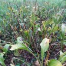 김종환농장 이미지