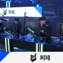 퍼피 인 어스 이미지