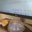 안양연세치과의원 이미지