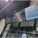 럭셔리스팀세차