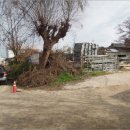 대구지방법원 영덕지원 이미지