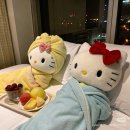 [W16] 호주 신혼여행 : 하이호주 계약후기, 견적 공유