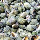 송평해수욕장2 이미지