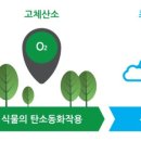 (주)오투엠 이미지