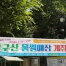 좌구산 흑염소 이미지