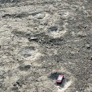 소월1리 이미지