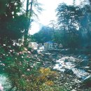 광천세탁소 이미지