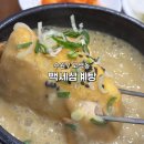 상황버섯삼계탕 | 수원 몸보신하기 최고인 맛집 백세삼계탕 : 걸쭉한 상황버섯 삼계탕 후기