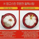 미미모모