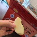 한농상사 이미지