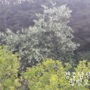 포석경로당 이미지