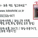 호텔코보스 이미지