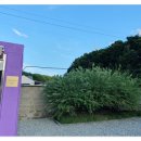 스테이양양의숨 이미지