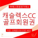 (주)캐슬렉스서울 캐슬렉스골프클럽 이미지