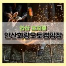 안산 화랑오토캠핑장 후기 🏕️ 추첨제 성공해서 다녀온 캠핑 + 바베큐