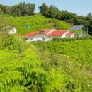 장양농장 이미지