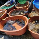 임원수산횟집 이미지