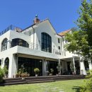 스테이카멜7 이미지