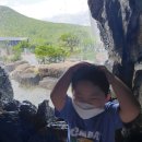 영남알프스 복합웰컴센터 이미지