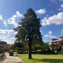 동래베네스트골프연습장 | 부산 동래베네스트 C.C 주말 골프 후기, 주변 맛집(ft.중식대사관)