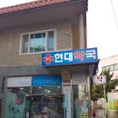 양지현대약국 네이버블로그
