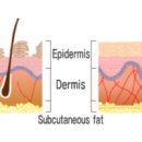 클레오파트라한의원 이미지