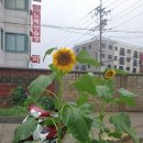 이재두 행정사 이미지