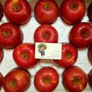 흥이많은농부 이미지