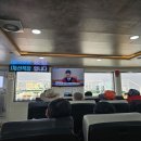 선도수선화 이미지