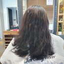 도로시헤어체인지