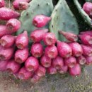 기웅농장 이미지