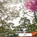 예쁜숲 이미지