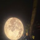 탄산온천매점